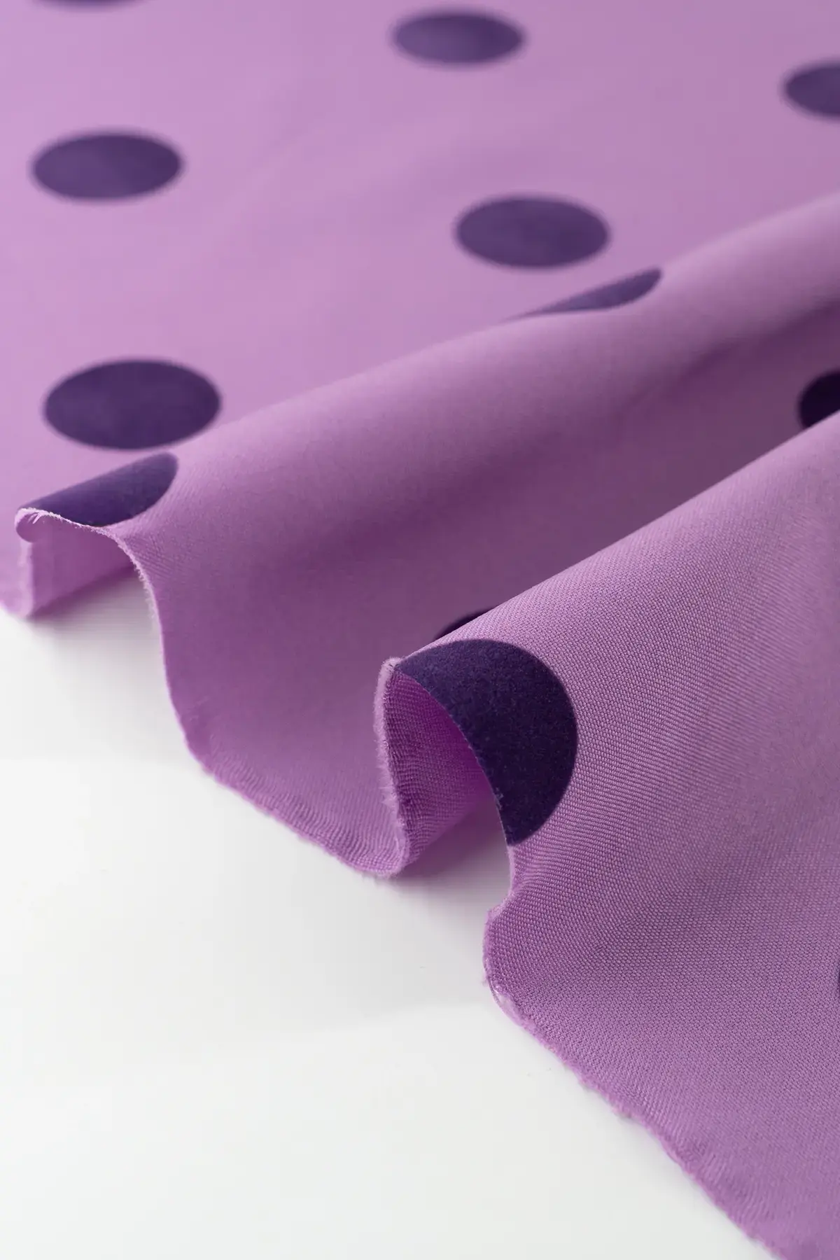 Strech african violet - Image 3