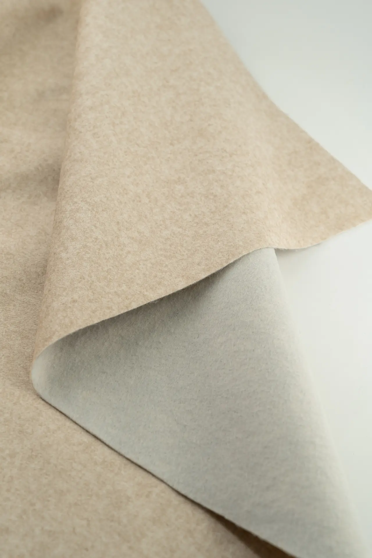 Tapicería beige - Image 4