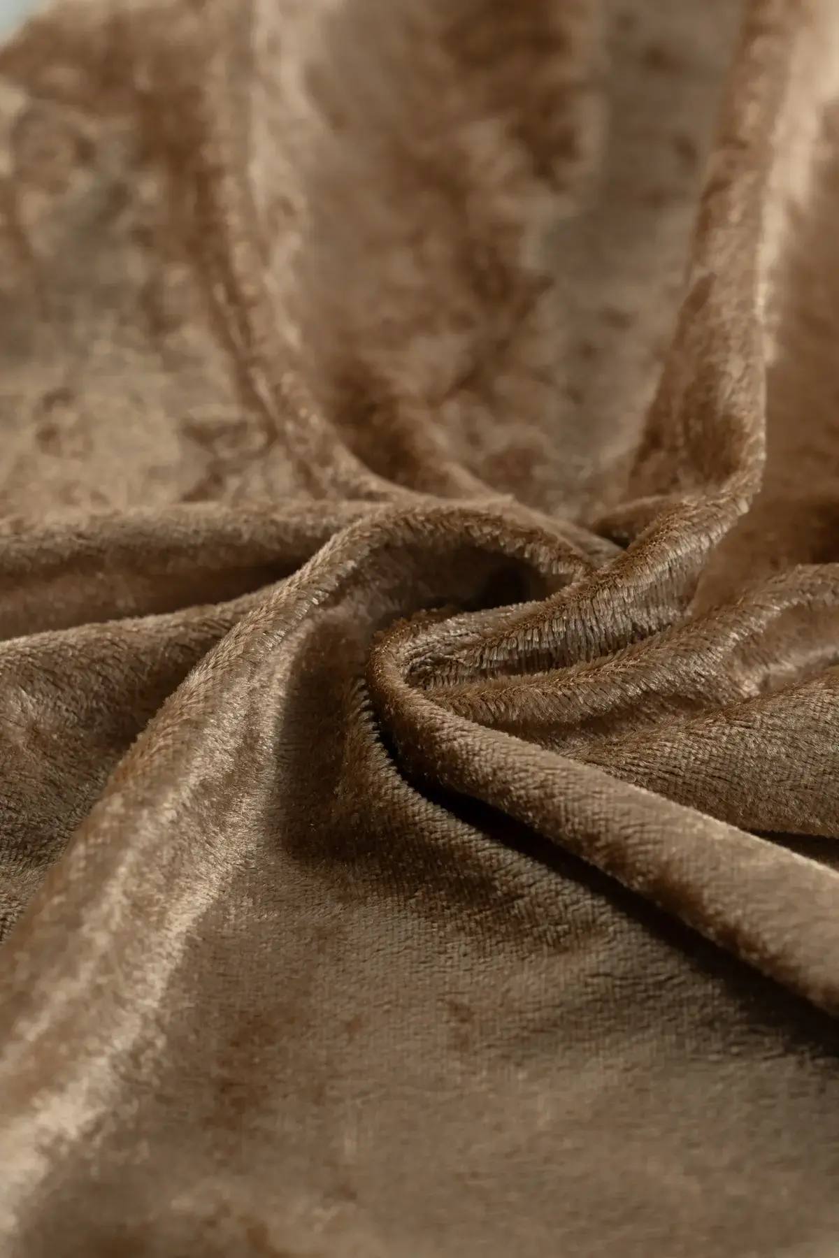 Terciopelo beig - Image 3