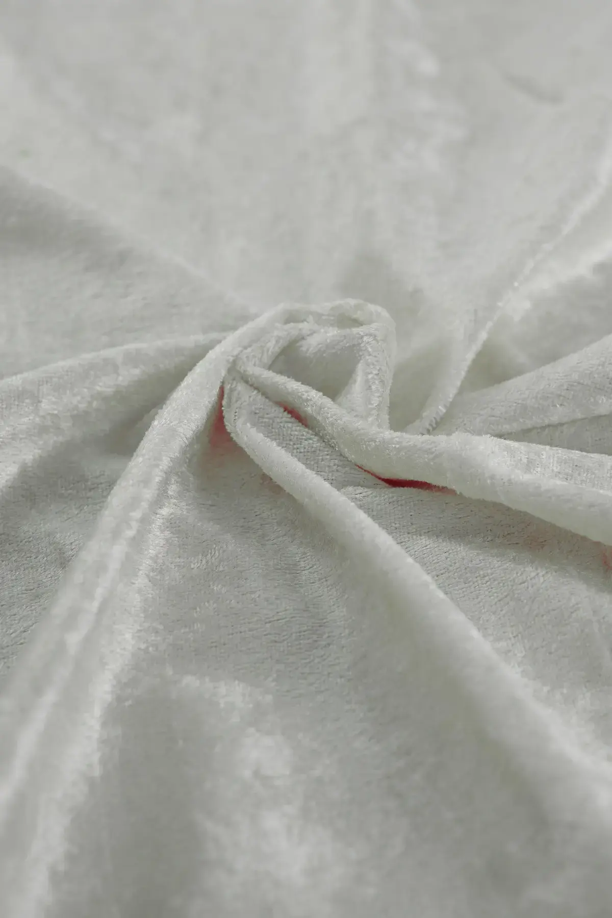 Terciopelo blanc de blanc - Image 3