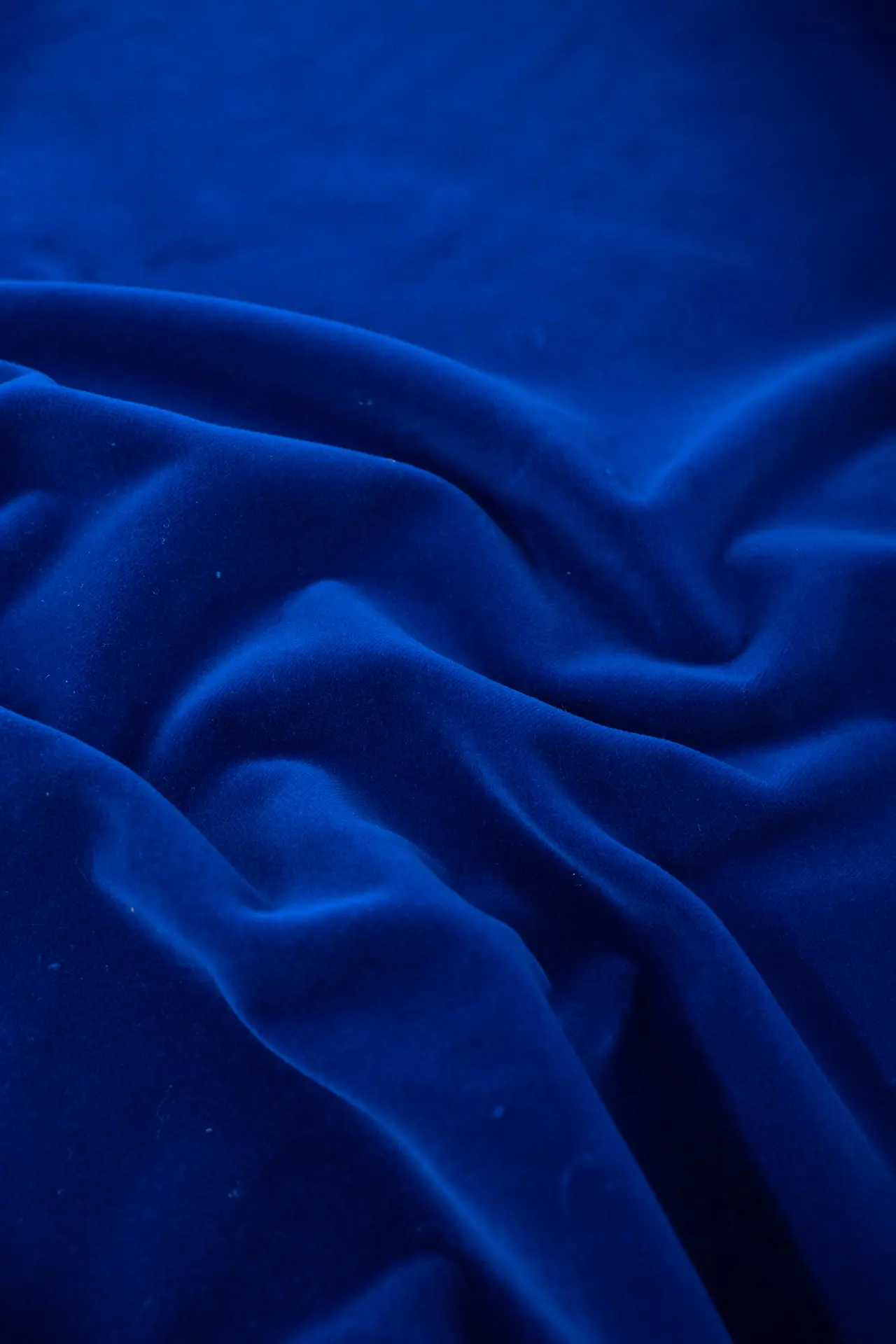 Terciopelo classic blue - Image 3