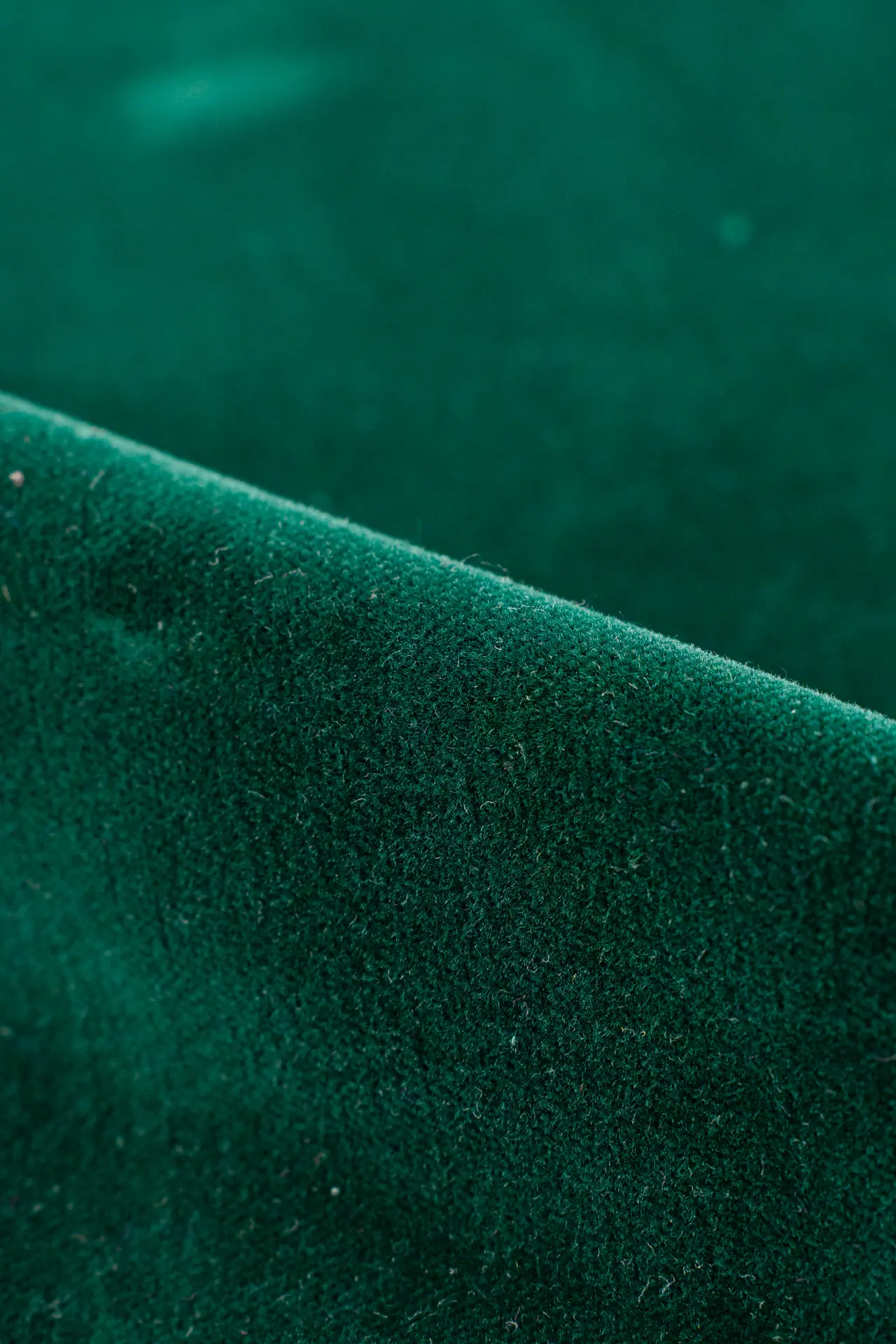 Terciopelo verde oscuro - Image 2