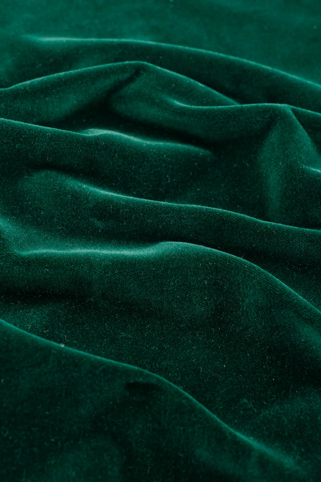 Terciopelo verde oscuro - Image 3