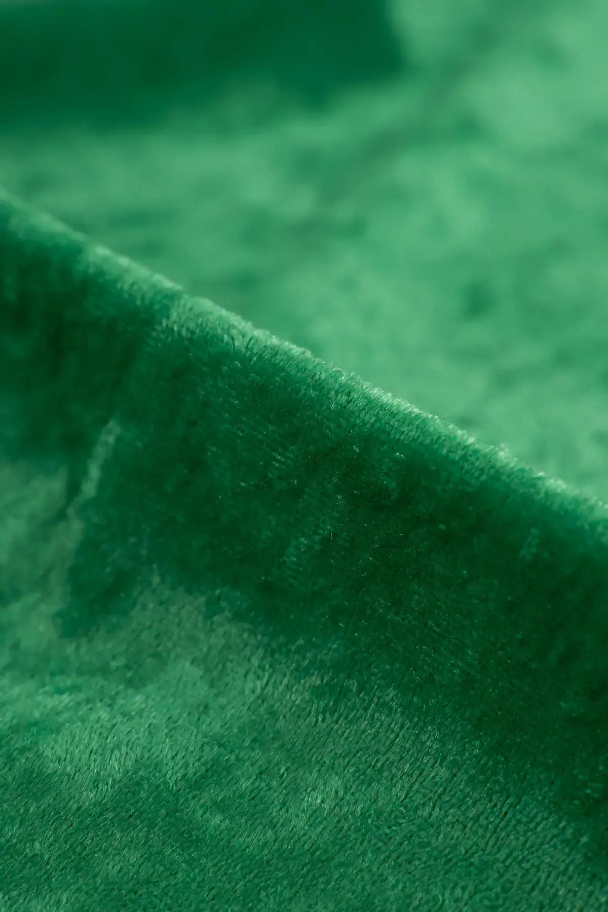 Terciopelo fem green - Image 2