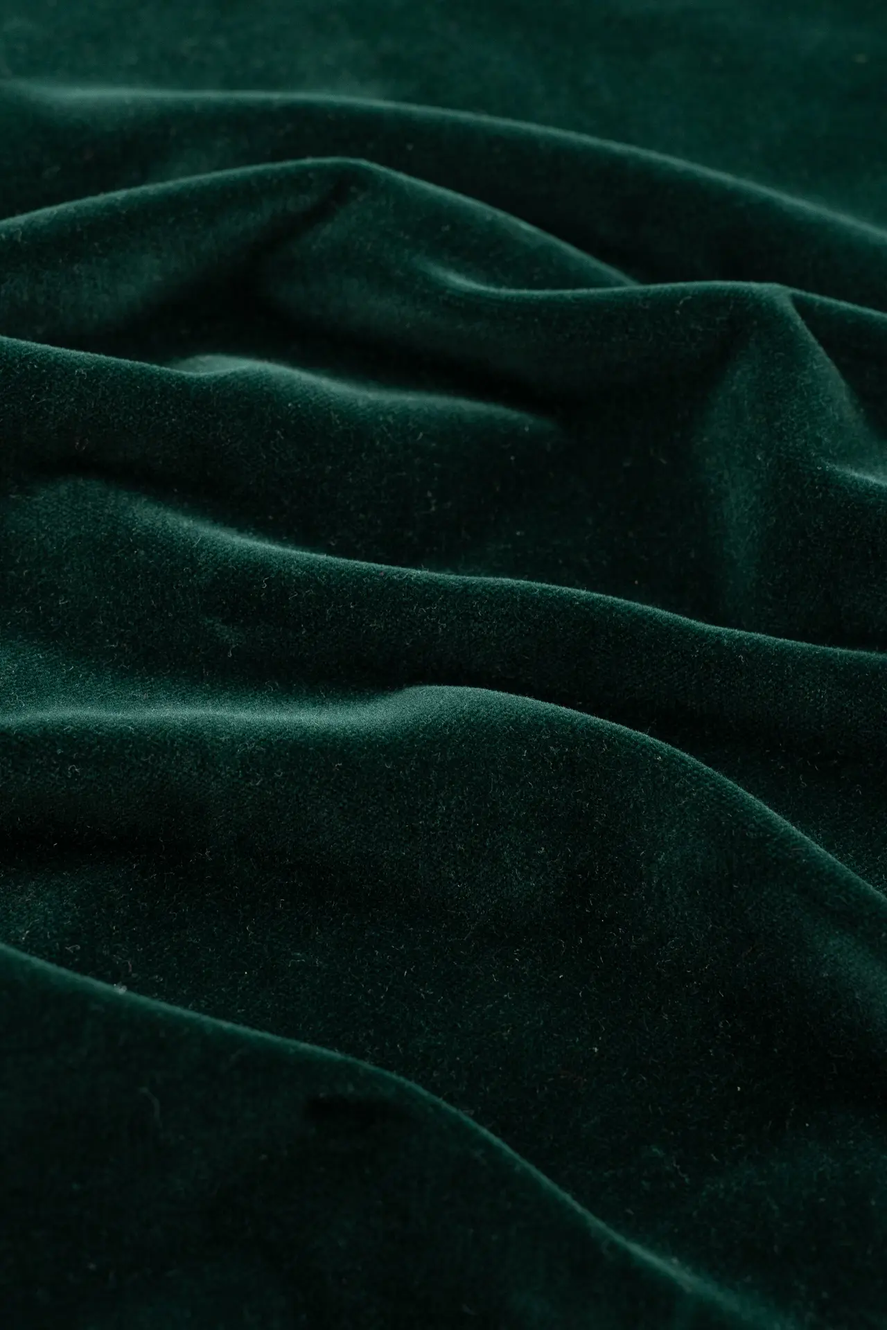 Terciopelo green gables - Image 3