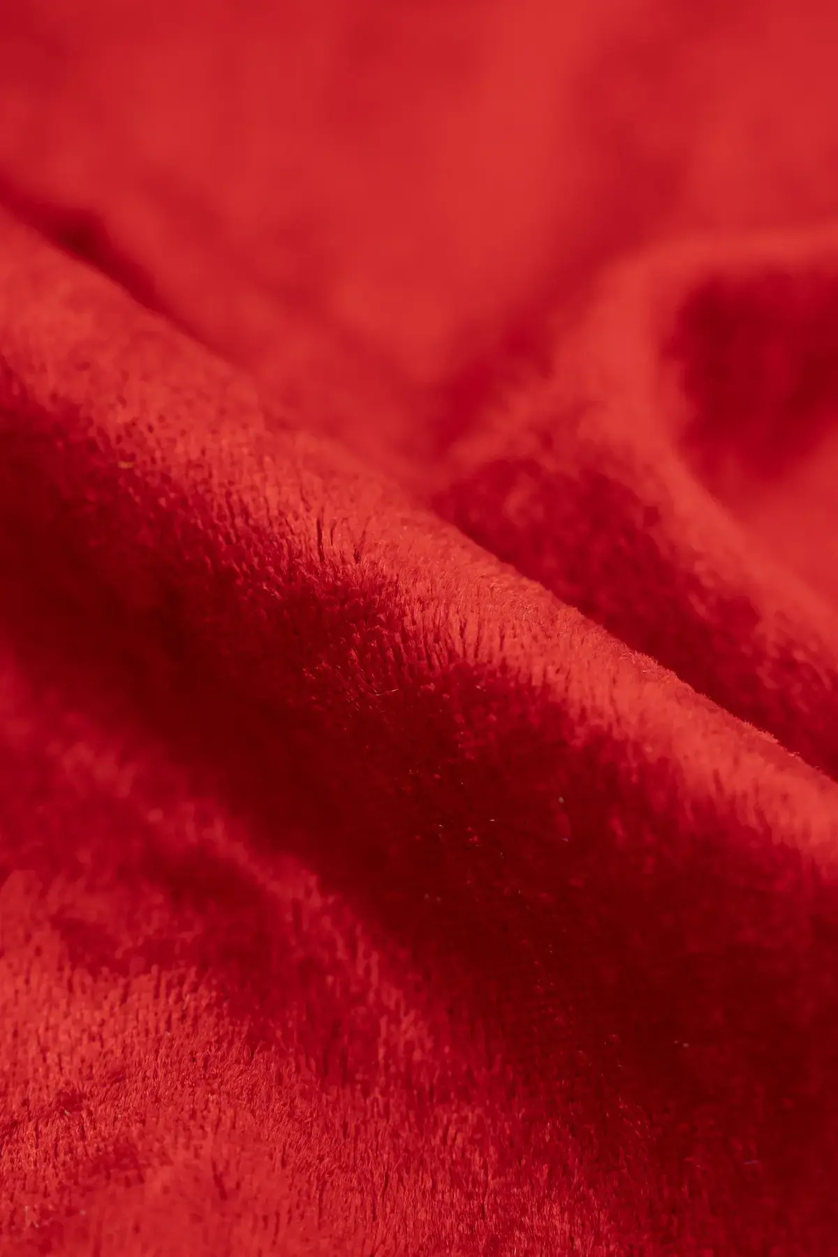 Terciopelo high risk red - Image 2