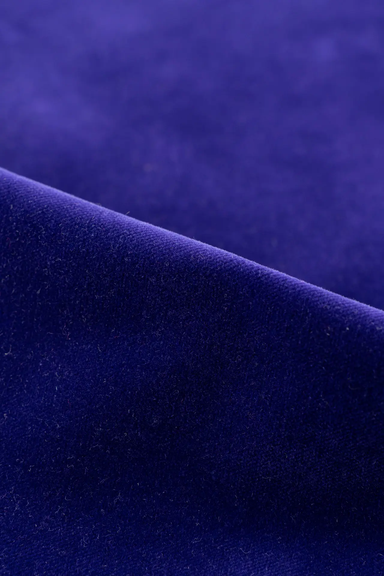 Terciopelo azul intenso - Image 2