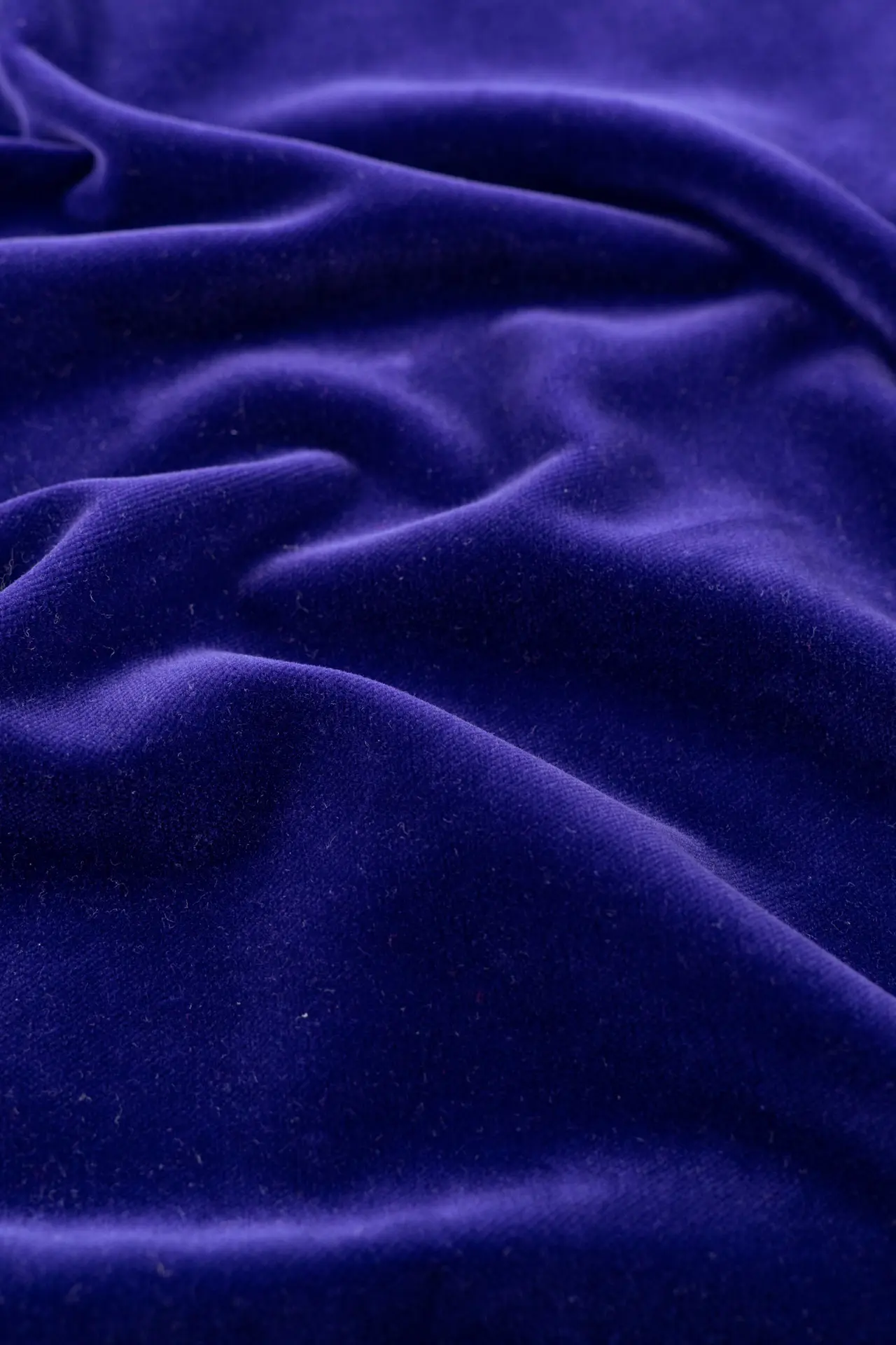 Terciopelo azul intenso - Image 3