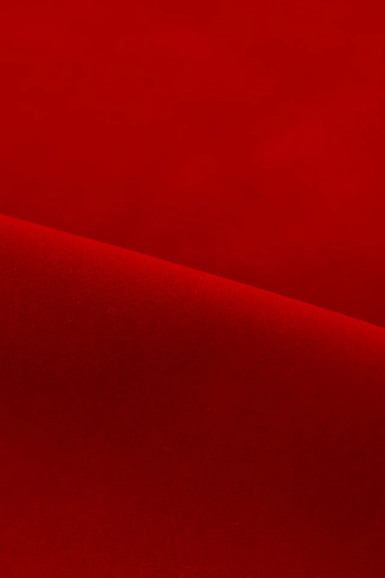 Terciopelo rumba red - Image 2