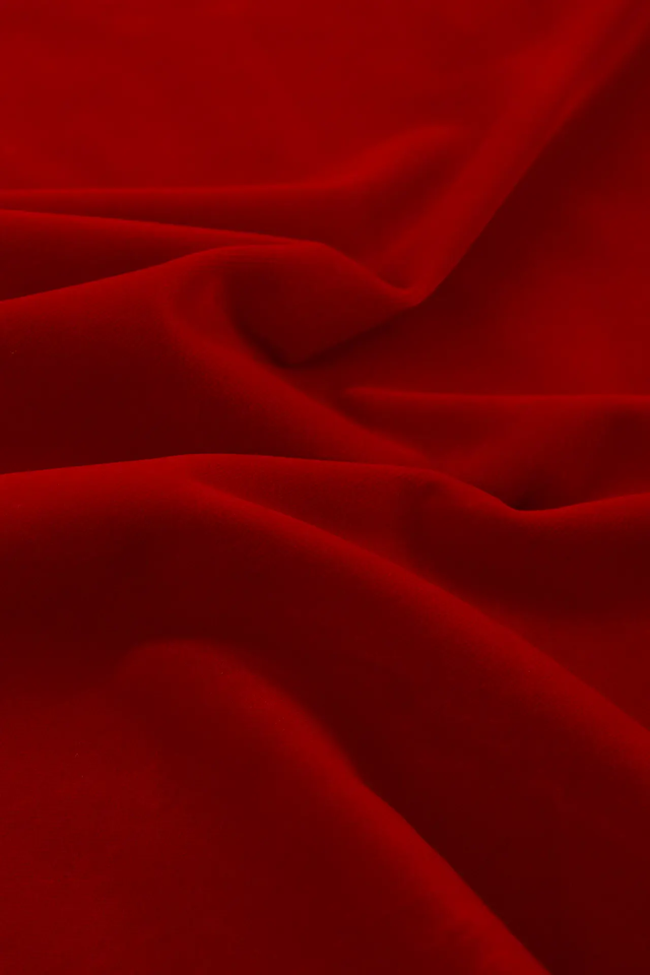 Terciopelo rumba red - Image 3