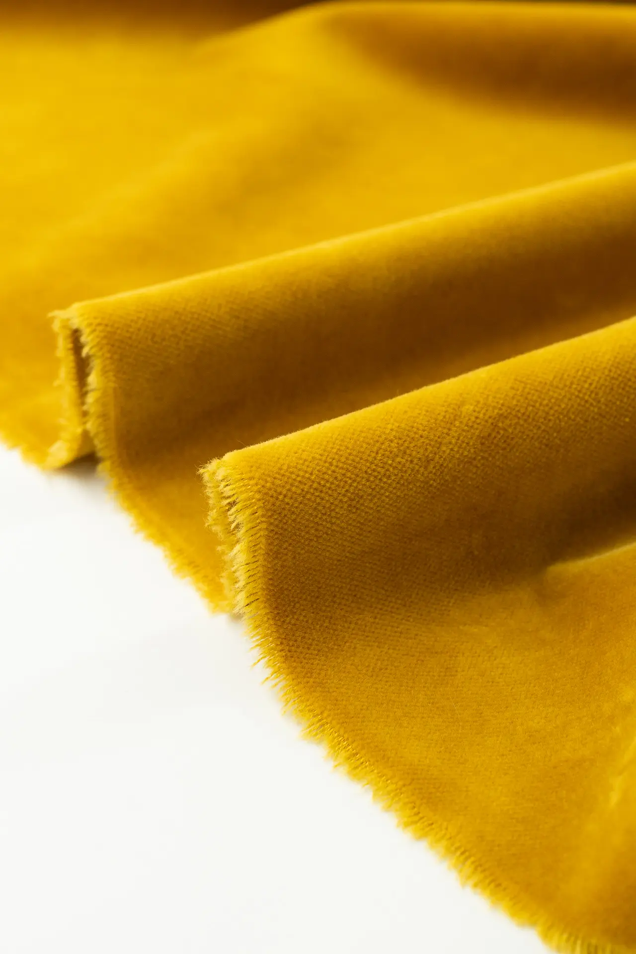 Terciopelo amarillo - Image 4