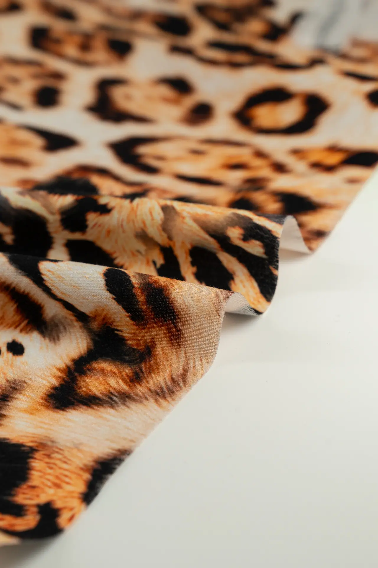 Viscosa leopardo - Image 3