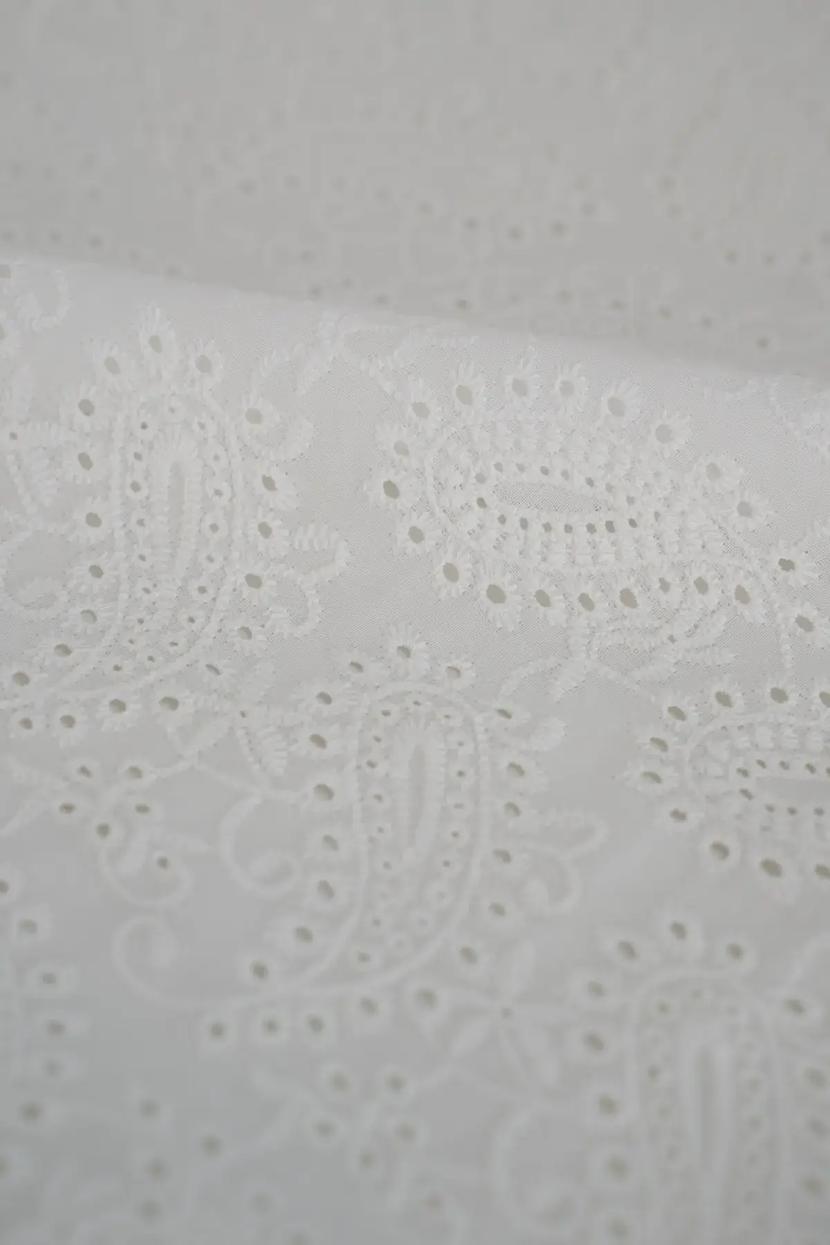 Voile (glasilla) cañaveral blanc de blanc - Image 2
